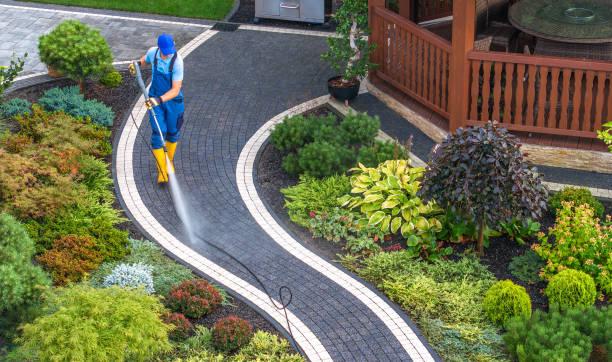 Best Pressure Washing Company Near Me  in Donald, OR
